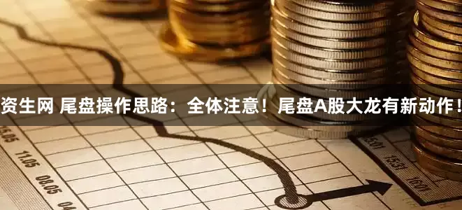 资生网 尾盘操作思路：全体注意！尾盘A股大龙有新动作！