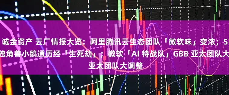 诚金资产 云厂情报大览：阿里腾讯云生态团队「微软味」变浓；SaaS独角兽小鹅通历经「生死劫」；微软「AI 特战队」GBB 亚太团队大调整