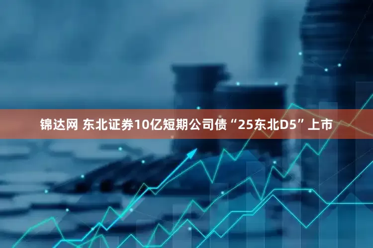 锦达网 东北证券10亿短期公司债“25东北D5”上市