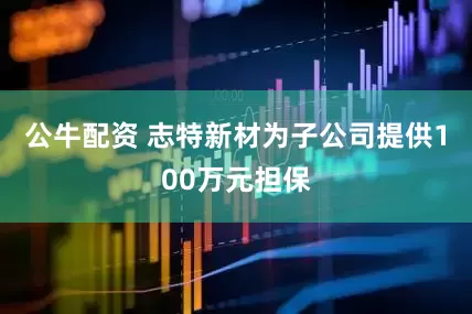 公牛配资 志特新材为子公司提供100万元担保