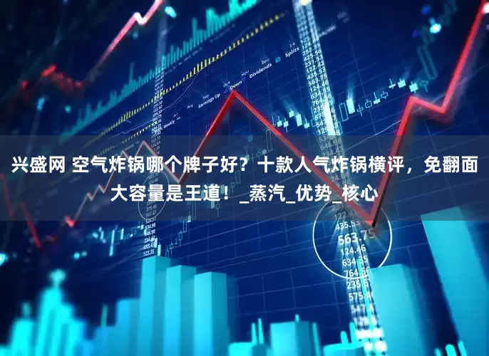 兴盛网 空气炸锅哪个牌子好？十款人气炸锅横评，免翻面大容量是王道！_蒸汽_优势_核心