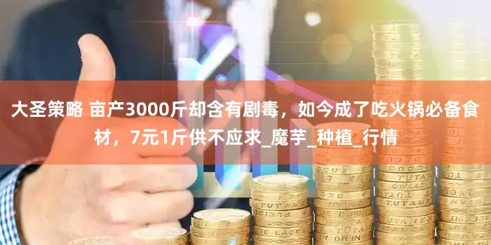 大圣策略 亩产3000斤却含有剧毒，如今成了吃火锅必备食材，7元1斤供不应求_魔芋_种植_行情